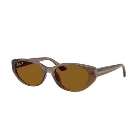 Ray-Ban - RB4457D 677983 5519 i Brunn