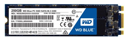 WD Blue PC SSD WDS250G1B0B - Solid State Drive - 250 GB - intern - M.2 2280 - SATA 6Gb/s