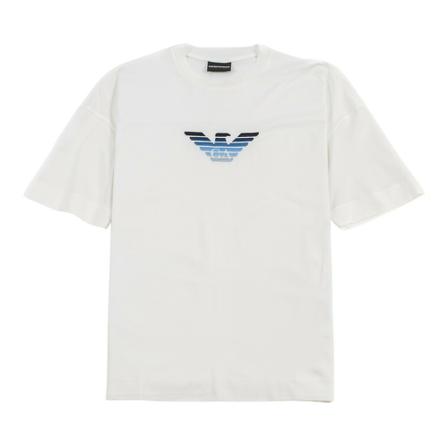 Emporio Armani, T-Shirts Wit, Heren, Maat:M