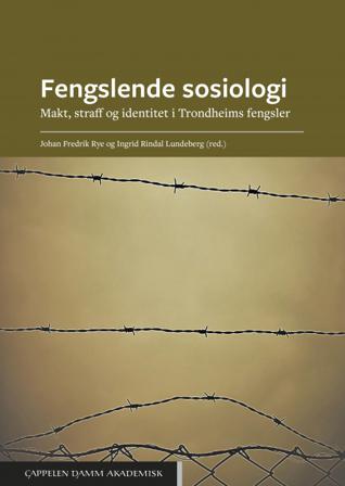 Fengslende sosiologi - Bok - Paperback