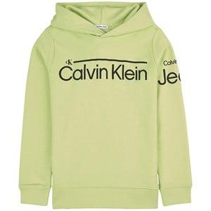 Kids - Calvin Klein Jeans Institutional Branded Hoodie Exotic Mint 12 Years - Jumpers and knitwear - 12 years - Green