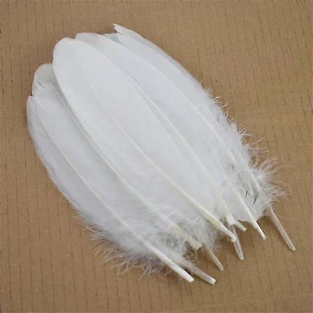25-26 20 stk. Farverige hårde pind gåsefjer 6-8 tommer/15-20 cm naturlige svanehåndværksfjer bordpynt fjer til dekoration