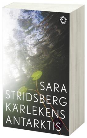 Kärlekens Antarktis - Bok av Sara Stridsberg - Pocket