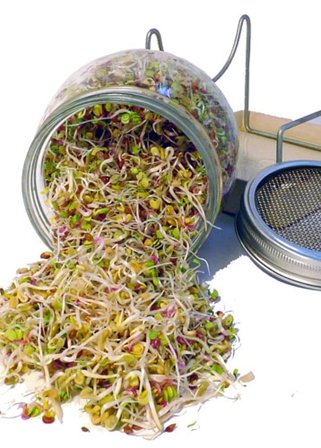 Biogan Spire glas 1 stk., Tøj & Bolig, Boliginteriør, Køkken & Bord