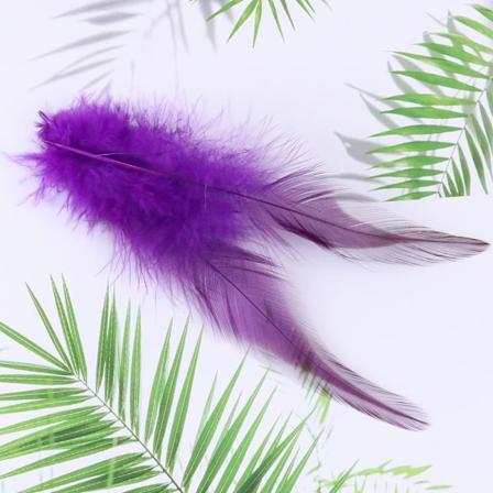 50/100 stk Naturlige Fasanfjer til Håndværk DIY Smykker Bryllup Fest Dekoration Drømmfangere Tilbehør Kyllingfjer Purple 100pcs