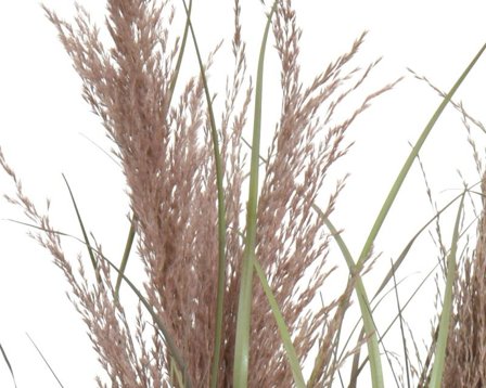 Kaemingk Kunstig Plante Gress H60