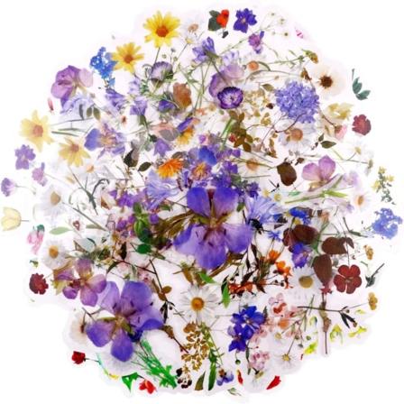 Klistermärken Blommiga Klistermärken Växtklistermärken