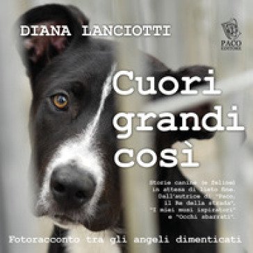 Cuori grandi così. Fotoracconto tra gli angeli dimenticati Diana Lanciotti
