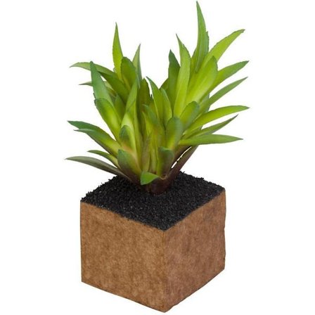 Växt Konstgjord mini Kub Cult Design