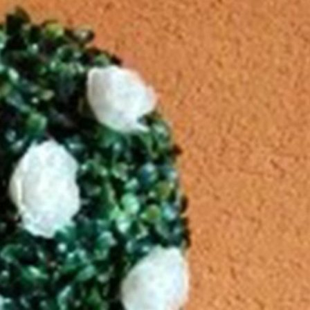 HURRISE Simulation Rose Head 50 ST Simulation Rose Dekorativt huvud Återanvändbart Siden Falsk Rose Stabiliserad Dekorativ Blomma Vit