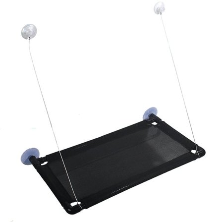 Riippumatto kissalle ikkunaan