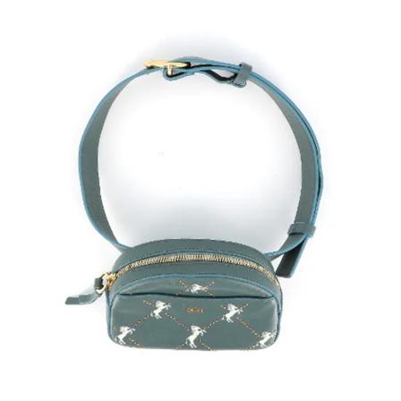 Chloé Pre-owned Blue Leather Chloé Bælte Bags Grøn, Dame Vintage Accessories, Størrelse: ONE Size