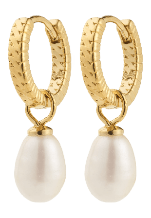 Pilgrim Elliana Earrings Gold-Plated Smycken & klockor Dam Guld ONESIZE