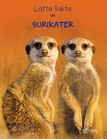 Lätta fakta om surikater - Bok av James Maclaine - Inbunden