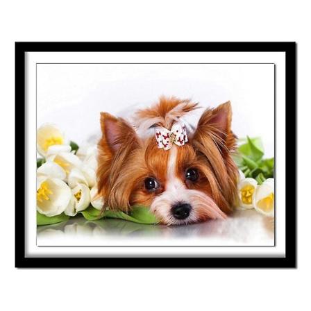 Tegne- og malingsæt diamantmaleri 5d diy diamantmaleri fuldt kvadrat diamantbroderi dyr hunde diamant rund
