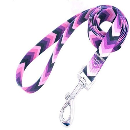 Hundvalpledning Husdjursledning 10 10