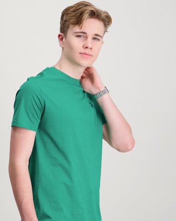 U.S. Polo Assn. DHM Tshirt Grønn T-skjorter Gutt - Kids Brand Store