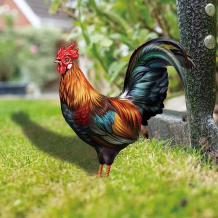 1 st trädgårdsstake i form av en tupp - Akryldekoration - För