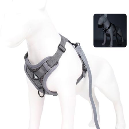 Små Medelstora Hundar Med 2-handtags Säker Väst Reflekterande Frontklämma