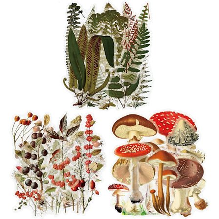 120 stk plantejournal klistremerker, vanntette gjennomsiktige vintage bregne sopp blomst natur utklippsbok klistremerke