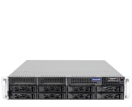 BLUECHIP Server bluechip SERVERline R42316s 2 HE Rack, Xeon 4410Y TPM-Modul 32GB 2x960GB SSD, 2 x 10 Gigabit Ethernet
