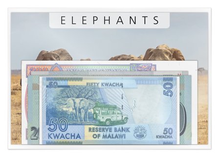 Hele verden - Elefanter - 5 pengesedler - Ucirkuleret