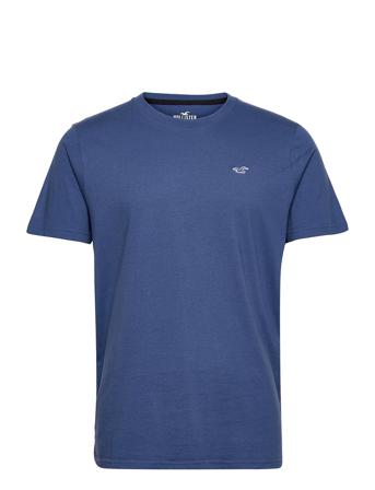 Hco. Guys Knits Blue Hollister
