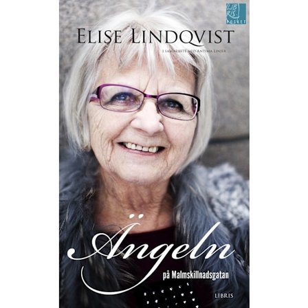 Ängeln på Malmskillnadsgatan 9789173873840