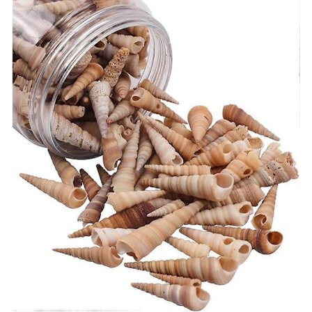 Spiralformade snäckor, förpackning om 200 gram naturliga långa spiralformade snäckskals-pärlor för pyssel, smyckestillverkning, heminredning, 3-5 cm