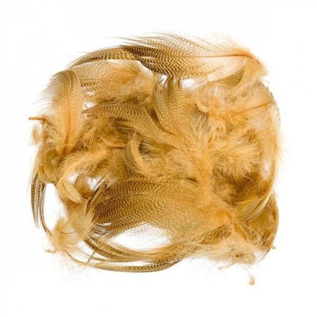 Mallard Barred Flank - Wood Duck