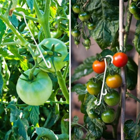 100 kappaletta 13 cm:n puutarhakasvien kiinnitysklipsejä, kiipeilykasvien tuki