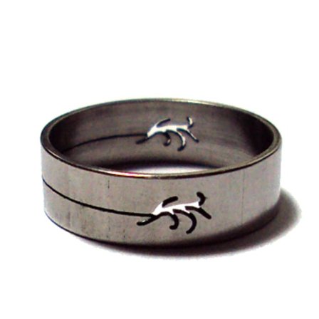 Rostfritt stål ring