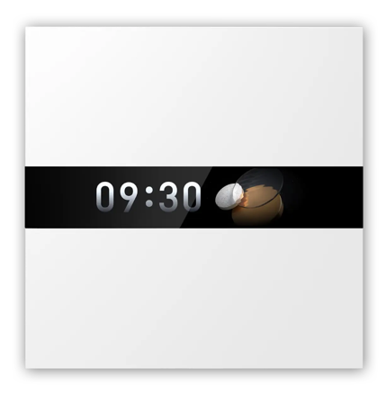 Aqara Display Switch V1