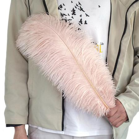 Engros Rosa Strudsefjer til Karnevalsfest Håndværk Dekorative Fjerfremstilling Bryllup Bordvase Tilbehør 10stk/lot GRAY 30-35cm 12-14inch