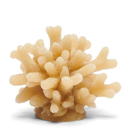 Riviera Maison Stearinlys Coral Lys Beige