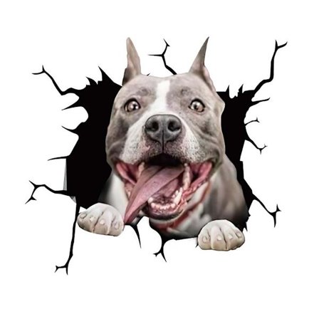 Bilstäcker Dekal Motorcykel Valp Trasig Fönster 3D Produkter Simulation Fransk Bulldog Vinyl Dekaler Personlighet, Bakre Bilen