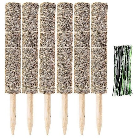 Full lengde 173 cm kokosfiber totem-stang - 6 stk. 40 cm kokosmos totem-stang innendørs plantestøtte mos