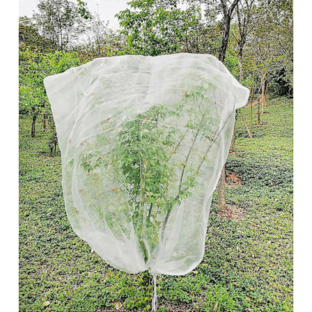 Frugttræsnet 1,8 m X 1,8 m, Planteinsektnet, Finmasket insektnet med snøre