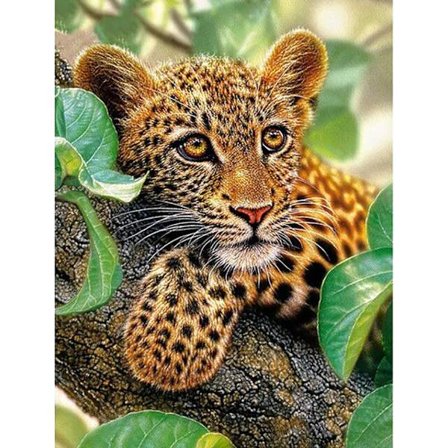 30 x 40 cm, leopard diamantmaleri broderi diamantmaleri