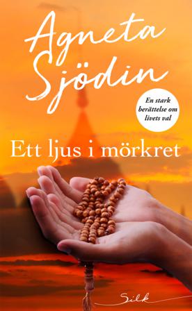 Ett ljus i mörkret - Bok av Agneta Sjödin - Häfte