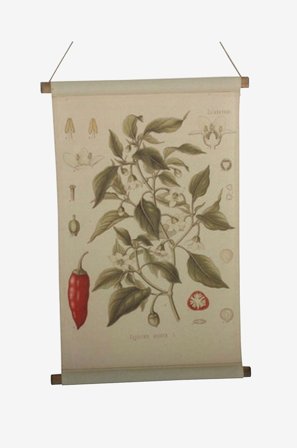 NORDFORM - Vägghängning Chilli - Natur - Posters & tavlor - Från Homeroom