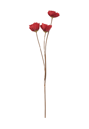 Åhléns Home Konstväxt vallmo Blommor & växter Röd ONESIZE