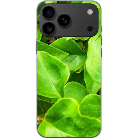 Kompatibelt Mobilskal till Apple Apple iPhone 17 Pro Max Blommor