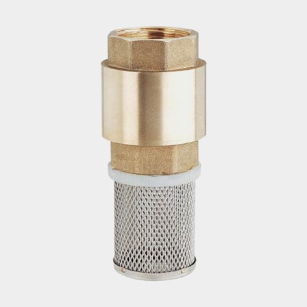 Terugslagklep met zeef Maestrini Spring Check Valve with Stainless Mesh, messing, 1" G (BSP)