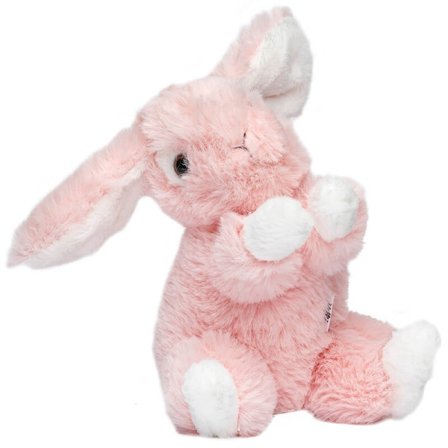 Rosa Kanin Lilly, 16 cm