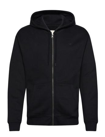 Hco. Guys Sweatshirts Black Hollister