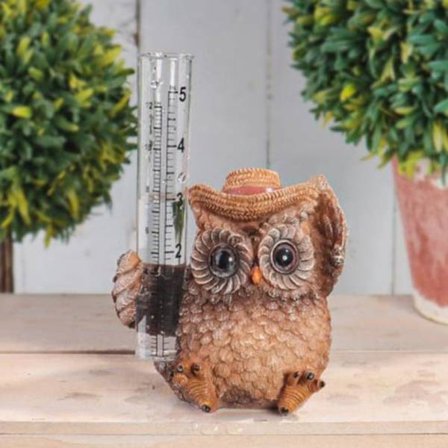 Ugle Regnmåler Ugle Dekoration Have Ornament