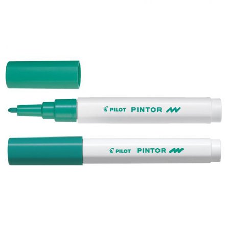 Pilot Pintor Fine Tip Pale Orange