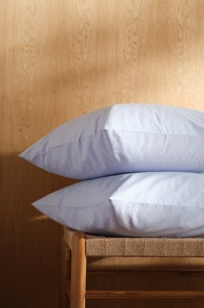 Jotex - Percale Putevar 2-pk - Økologisk Lys blå - ZACK - Kjøp Putevar hos Jotex