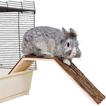 Trixie - Natural Living Wooden Bridge brun 63 x 15 x 18 cm - Smådyr - Hus & Burinteriør - Sittehyller - ZOO.no